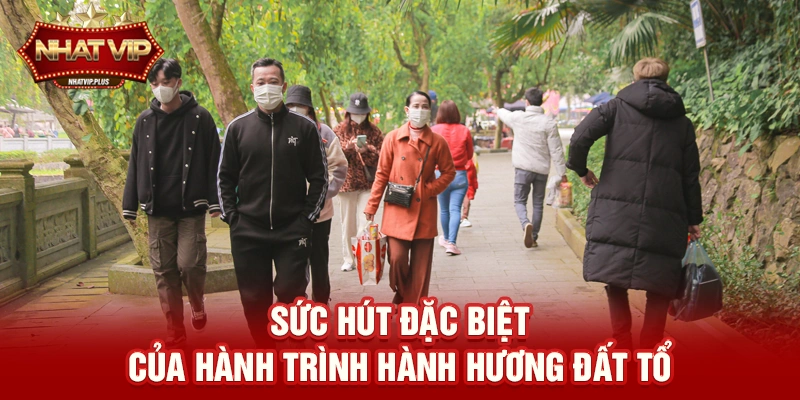 suc hut dac biet cua hanh trinh hanh huong dat to Sức hút đặc biệt của hành trình Hành hương Đất Tổ